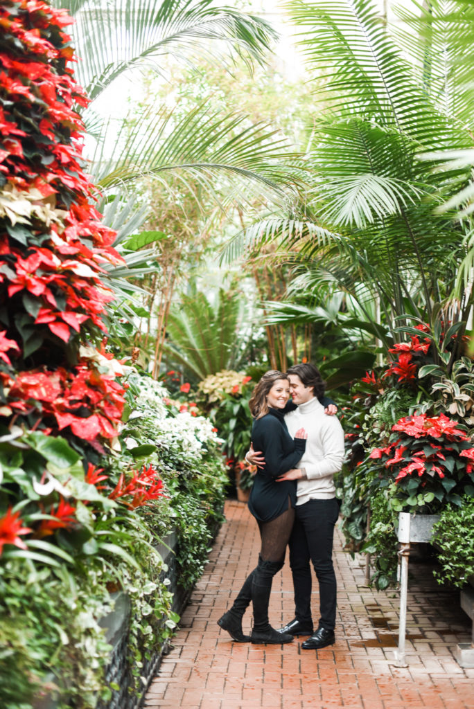 Christmas engagement at Biltmore Estate
