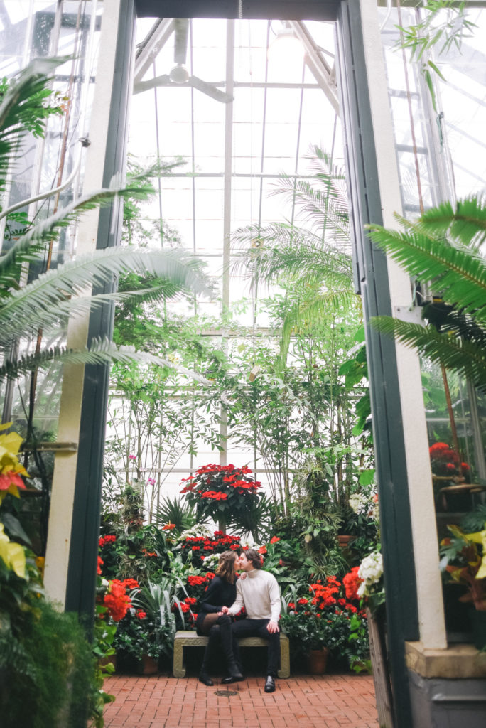 Christmas engagement at Biltmore Estate