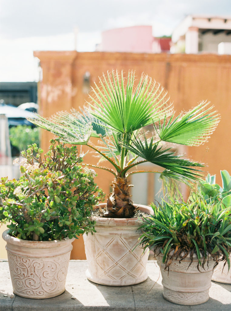 Terraza Trinitate wedding