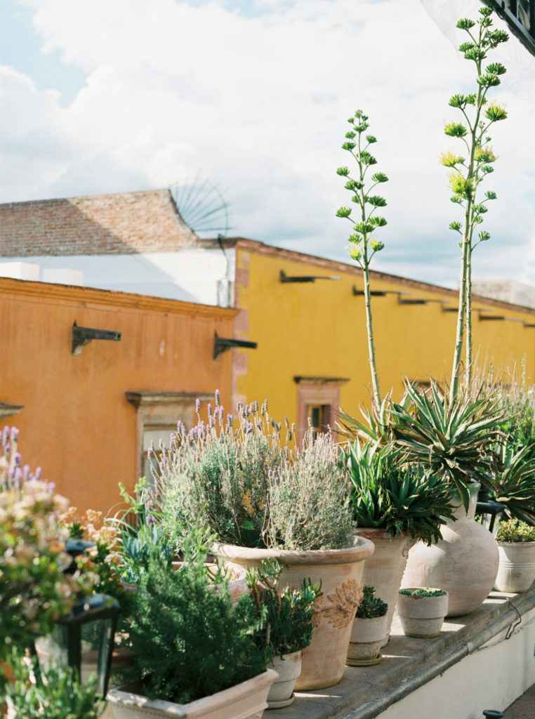 Terraza Trinitate wedding