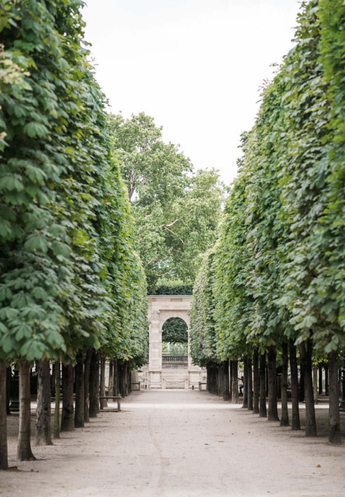 jardin luxembourg honeymoon photo